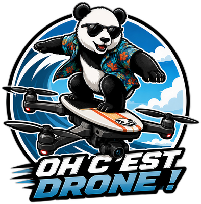 Logo Oh c'est Drone — panda pilote de drone